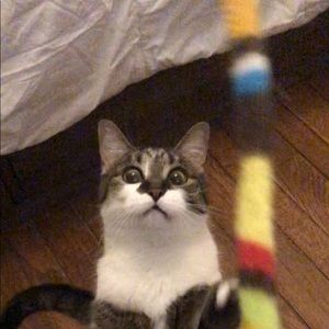 Meet your Posher, Kimberly